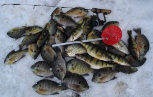 Inland Lake Ice Fishing
